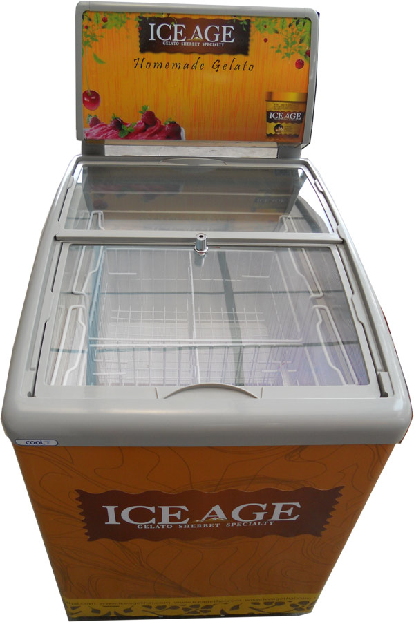 Catalog and prices of ice cream showcases, display, cart, chest