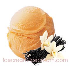 Vanilla seeds scoop